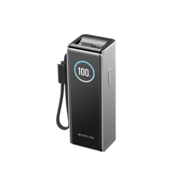 Павербанк EcoFlow RAPID Power Bank з кабелями 25000mAh сріблястий